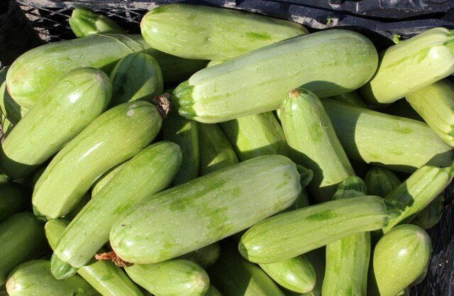 یک خوردنی کم‌کالری برای کاهش نفخ