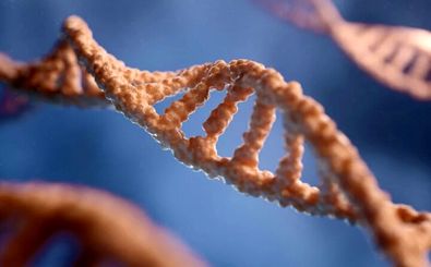 توالی‌یابی ژنوم تمام گونه‌های زنده روی زمین با هوش مصنوعی