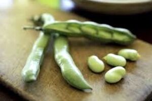 فواید بی‌نظیر باقلا
