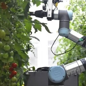ربات باغبان چین شگفتی آفرید