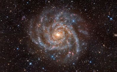 عکس روز ناسا از کهکشانی در دل یک زرافه