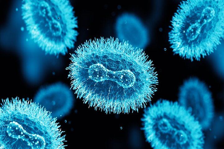 هوش مصنوعی پاشنه آشیل آبله میمونی را پیدا کرد