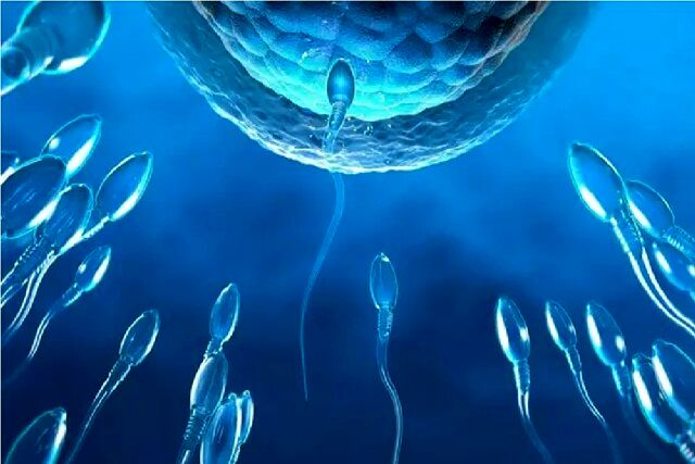 کنترل بارداری با سوئیچ مولکولی پنهان در اسپرم