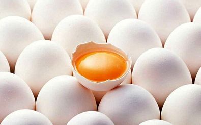 ردپای آنتی‌بیوتیک‌ها در تخم‌مرغ