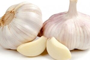 سیر را چطور بخوریم که بیشترین فایده را داشته باشد؟/ ویدئو