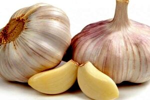 سیر را چطور بخوریم که بیشترین فایده را داشته باشد؟/ ویدئو
