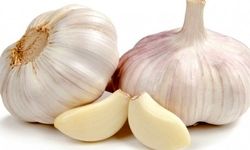 سیر را چطور بخوریم که بیشترین فایده را داشته باشد؟/ ویدئو