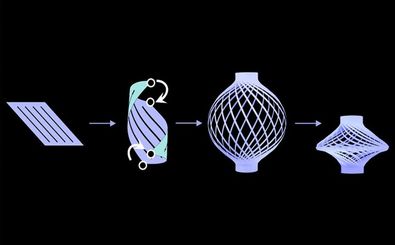 فانوسی که مانند یک موجود زنده حرکت می‌کند
