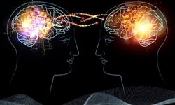 «مغز» تعاملات اجتماعی را قبل از وقوع پیش‌بینی می‌کند!