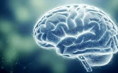 ۴ ماده غذایی برای افزایش قدرت مغز