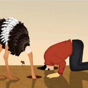 چرا در یک سن مشخص تصمیم می‌گیریم بیشتر به مغز خود استراحت دهیم؟ 