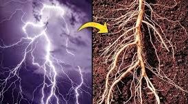 شباهت باورنکردنی کهکشان و انسان 