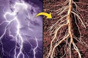 شباهت باورنکردنی کهکشان و انسان 