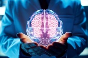 چربی مغز نقش مهمی در ایجاد آلزایمر دارد