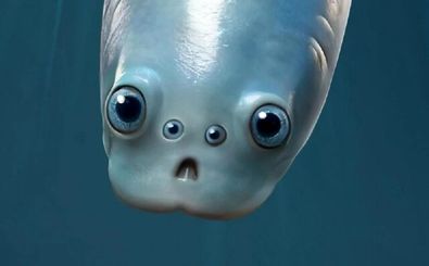 نیاکان همه جانوران جهان ۲ جفت چشم داشتند