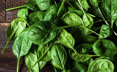 5 ترکیب جادویی با «اسفناج» که آهن را جذب بدن می‌کنند 