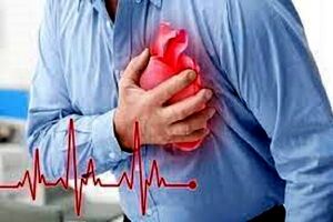 چربی حیوانی بخورید، بیماری قلبی هدیه بگیرید