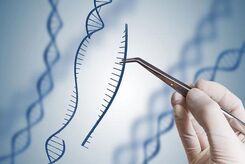 برش DNA سلول‌های بیمار با «قیچی ژنتیکی» جدید