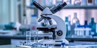 تاثیر میدان الکتریکی بر بدن موجودات زنده/ ویدئو