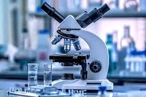 تاثیر میدان الکتریکی بر بدن موجودات زنده/ ویدئو