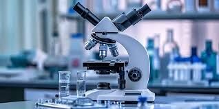 تاثیر میدان الکتریکی بر بدن موجودات زنده/ ویدئو